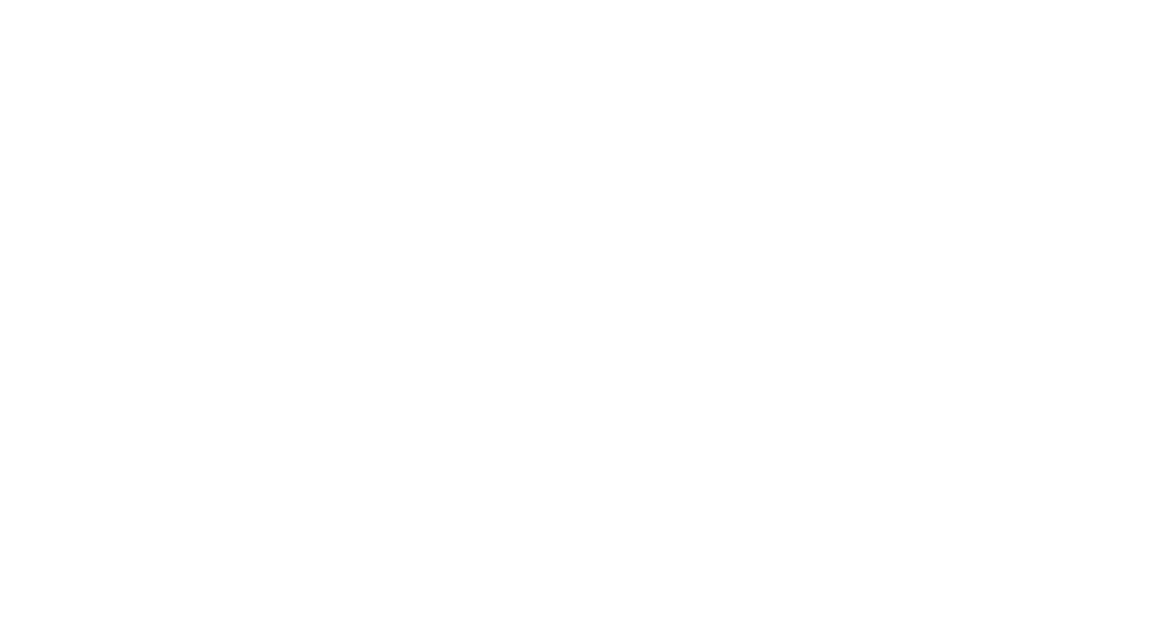 Netskrt Logo White