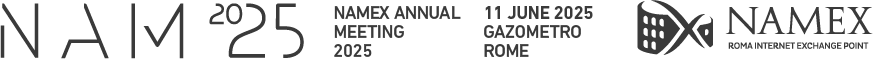 NAMEX Logo